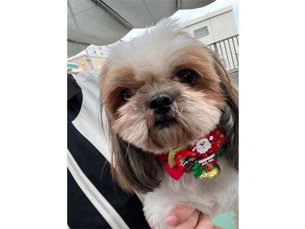 ☆生徒が撮影したモデル犬☆